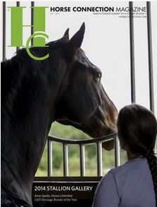 Click to read HC magazine Online via Issu